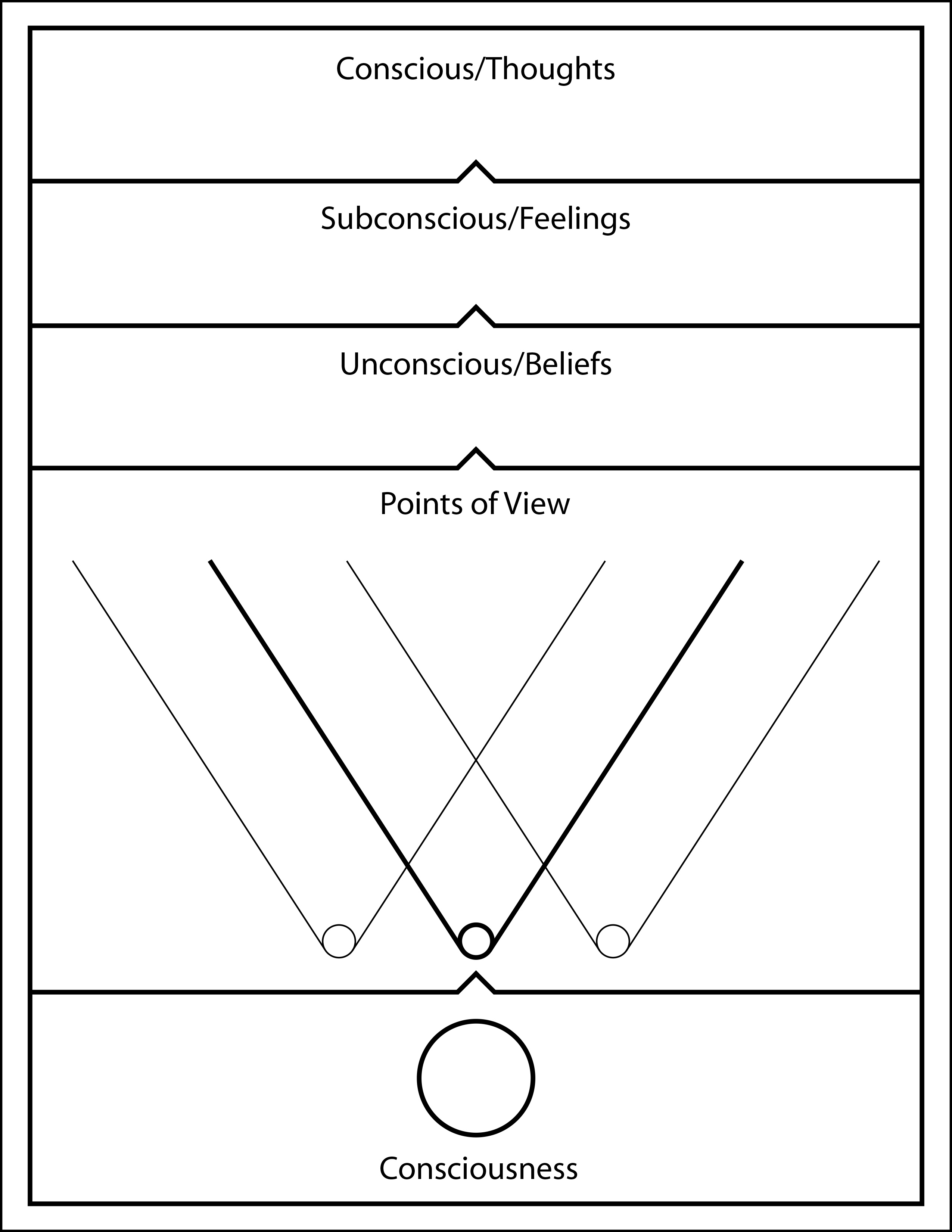 What are the levels of consciousness